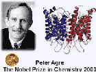 2003 chemistry Nobel prize